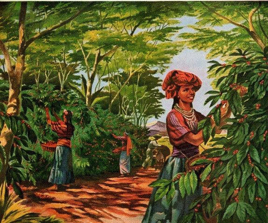 Café Para Ti: A Special Gift with the Heart of Colombia - Buy Coffee Colombia